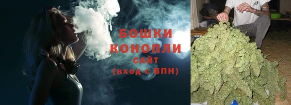 дурь Пересвет