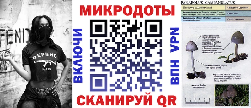 где купить наркоту Крымск Галлюциногенные грибы Psilocybe